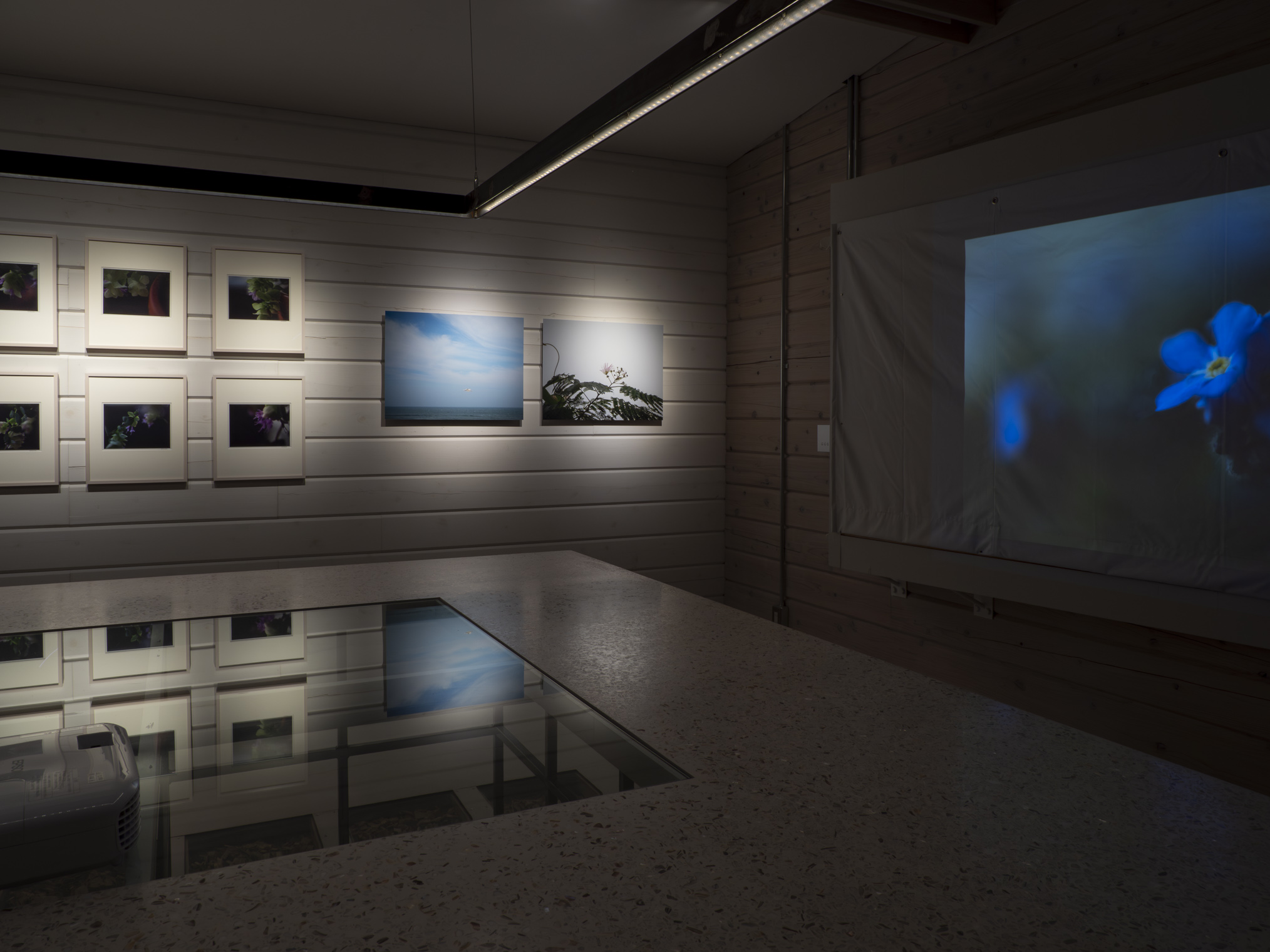 installation view